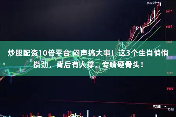 炒股配资10倍平台 闷声搞大事！这3个生肖悄悄攒劲，背后有人撑，专啃硬骨头！